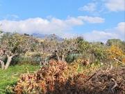 Masía en venta en Altea, Altea Ciudad. Masías.