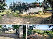 Masía en venta en Amposta, Grau Quintanes Costa Dorada....