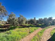 Masía en venta en Antequera, Centro. EN EXCLUSIVA...