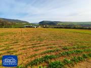 Masía en venta en Arcos de la Frontera. ARCOS DE LA...