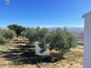 Masía en venta en Arcos de la Frontera. FINCA RUSTICA....