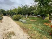 Masía en venta en Arcos de la Frontera. SE VENDE FINCA...