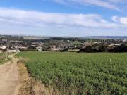 Masía en venta en Arcos de la Frontera. SE VENDE FINCA...