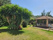 Masía en venta en Arriate. Casa de campo a 5 km de...