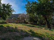 Masía en venta en Baleares Alaró. Sensacional proyecto...
