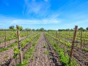 Masía en venta en Baleares Alcúdia, Ciutat d´Alcúdia.... Masía en venta en Baleares Alcúdia, Ciutat d´Alcúdia....