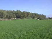 Masía en venta en Baleares Algaida. FINCA RÚSTICA EN...