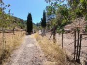 Masía en venta en Baleares Andratx, S´Arracó. Chalet...