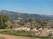 Masía en venta en Baleares Campanet. Finca de diseño...