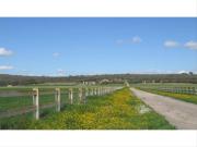 Masía en venta en Baleares Campos. Impresionante finca...