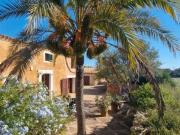 Masía en venta en Baleares Felanitx, Felanitx Poble....