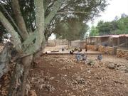 Masía en venta en Baleares Lloret de Vista Alegre....