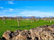 Masía en venta en Baleares Lloret de Vista Alegre....