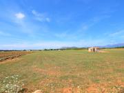 Masía en venta en Baleares Llubí. Finca rústica con...