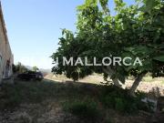 Masía en venta en Baleares Manacor, Manacor Centre....