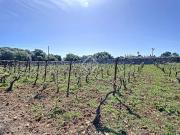 Masía en venta en Baleares Maó Mahón, Llucmaçanes. Casa...