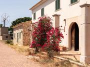 Masía en venta en Baleares Palma de Mallorca,...