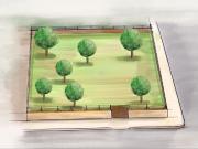 Masía en venta en Baleares Palma de Mallorca, Son...