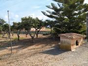 Masía en venta en Baleares Sa Pobla. Finca rústica con...