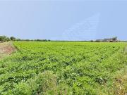 Masía en venta en Baleares Sa Pobla. Finca Rústica en...