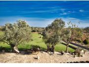 Masía en venta en Baleares Santa Margalida, Can...