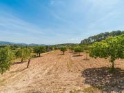 Masía en venta en Baleares Selva. ESPECTACULAR FINCA...