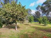 Masía en venta en Baleares Sencelles. Finca rústica con...