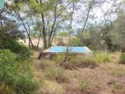 Masía en venta en Baleares Sencelles. FINCA RÚSTICA EN...