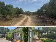 Masía en venta en Banyeres del Penedès. Finca exclusiva...