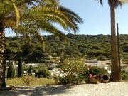 Masía en venta en Barbate, Barbate. FANTASTICA FINCA CON...