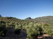 Masía en venta en Beas de Segura. FINCA RÚSTICA CASA EN...