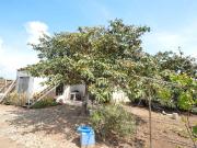Masía en venta en Benicarló, Pueblo. Finca en venta en...