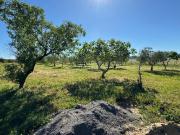 Masía en venta en Cáceres, Valdesalor Rincón de...