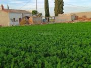 Masía en venta en Callosa de Segura. Casa para reformar...