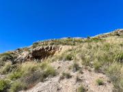 Masía en venta en Cantoria. Casa de campo con 11...