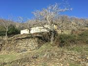 Masía en venta en Capileira. Verano en Sierra Nevada...