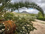 Masía en venta en Caravaca de la Cruz. Finca rústica en...