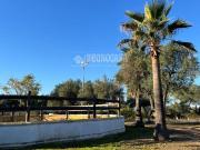 Masía en venta en Carmona. Casa rural en venta en...