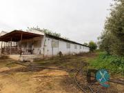 Masía en venta en Carmona. Finca en Venta en Carmona...