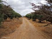 Masía en venta en Cartagena, La Magdalena Molinos...