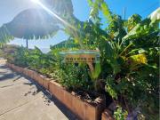 Masía en venta en Cártama. FINCA CHALET ZONA HOSPITAL...