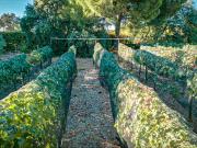 Masía en venta en Cartaya. Finca en venta en Cartaya....