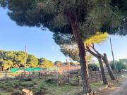 Masía en venta en Chiclana de la Frontera, Los Franceses...