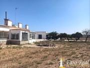 Masía en venta en Chipiona, Chipiona Norte. Pago Santo...