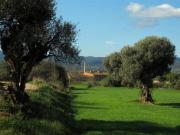 Masía en venta en Corçà. Finca Rústica en Baix Empordà...