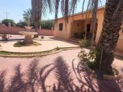 Masía en venta en Córdoba, Alcolea. Casa con terreno en...