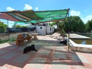 Masía en venta en Córdoba, Alcolea. Parcela rustica con...