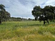 Masía en venta en Córdoba, Las Jaras. OPORTUNIDAD ÚNICA!...