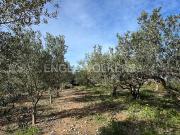 Casa en venta en Dénia, La Xara La Sella. Casa de Campo...