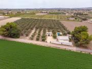 Masía en venta en Dolores. Encantadora finca con 300...